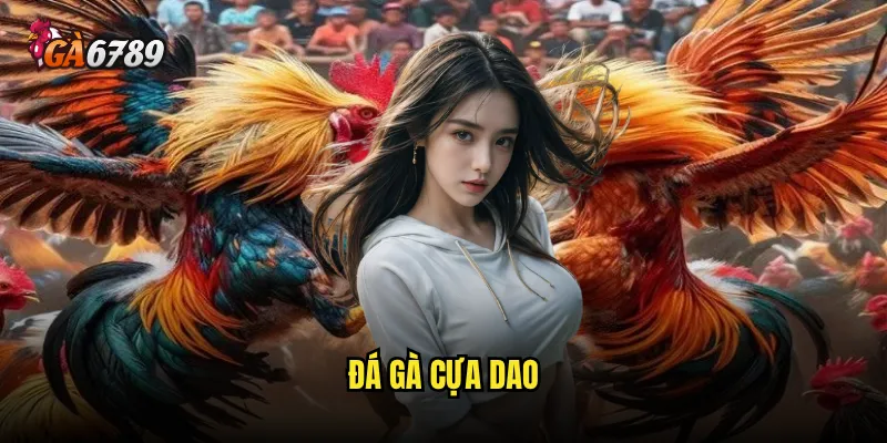 Đá gà cựa dao