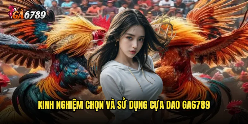 Đá gà cựa dao có nguy hiểm như người ta vẫn nói? 3 Kinh nghiệm chọn và sử dụng cựa dao Ga6789