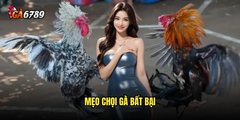 mẹo chọi gà bất bại