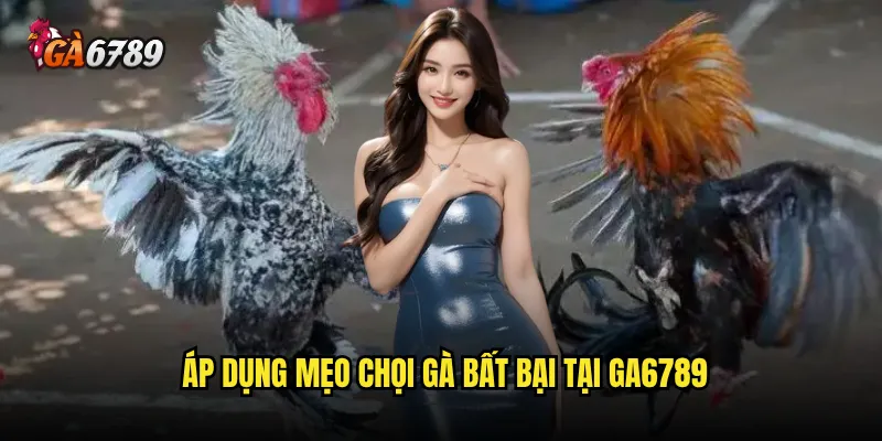 Mẹo chọi gà bất bại có thực sự tồn tại trên Ga6789 không? 3 Áp dụng mẹo chọi gà bất bại tại Ga6789