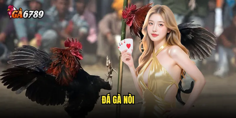 đá gà nòi
