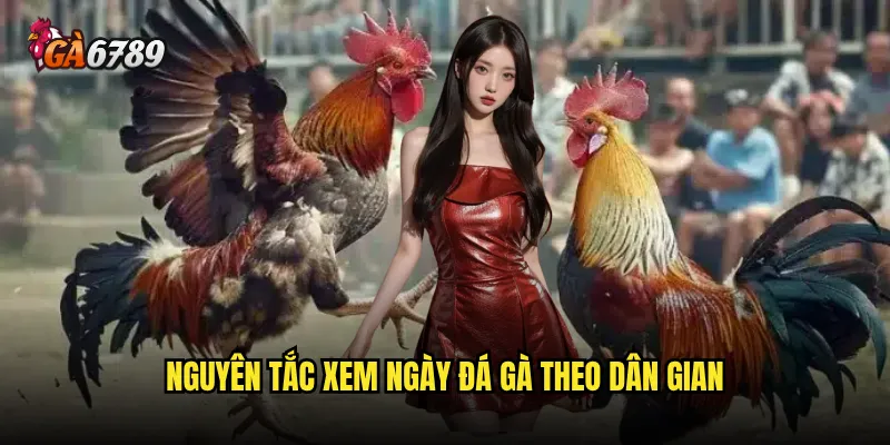 Cách xem ngày đá gà có thật sự ảnh hưởng đến kết quả? 2 Nguyên tắc xem ngày đá gà theo dân gian