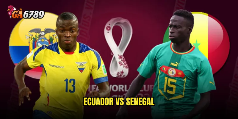 Ecuador vs Senegal