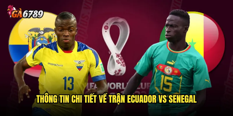 Ecuador vs Senegal Ga6789 có đáng đặt cược không? 2 Thông tin chi tiết về trận Ecuador vs Senegal