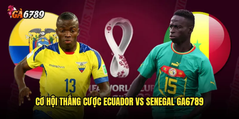Ecuador vs Senegal Ga6789 có đáng đặt cược không? 3 Cơ hội thắng cược Ecuador vs Senegal Ga6789