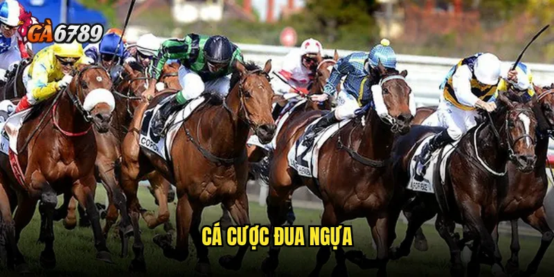 cá cược đua ngựa
