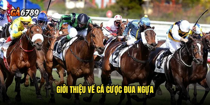 Cá cược đua ngựa trên nền tảng Ga6789 có thú vị không? 2 Giới thiệu về cá cược đua ngựa