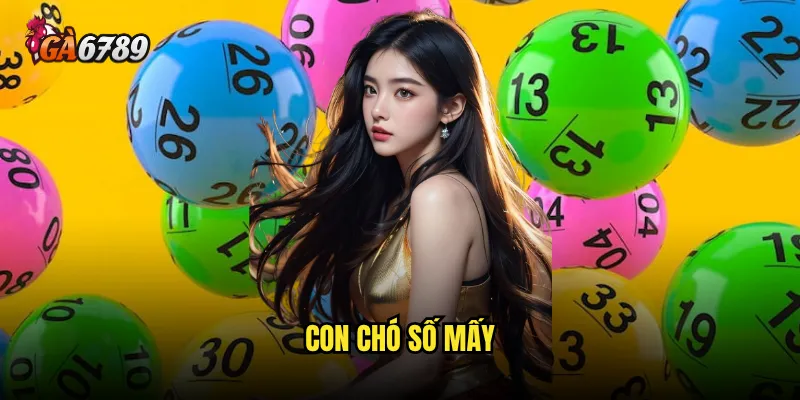 Con chó số mấy