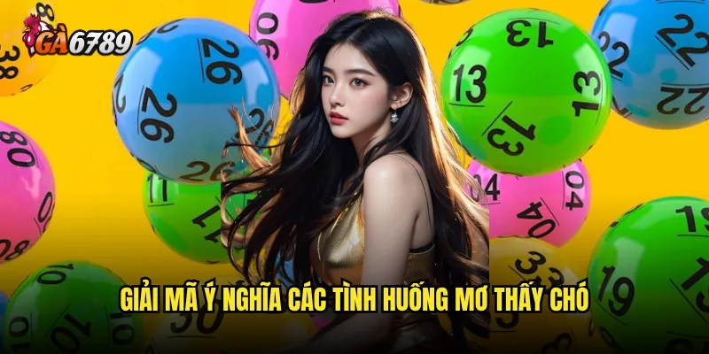 Con chó số mấy trong giấc mơ báo hiệu vận may tại Ga6789? 2 Giải mã ý nghĩa các tình huống mơ thấy chó