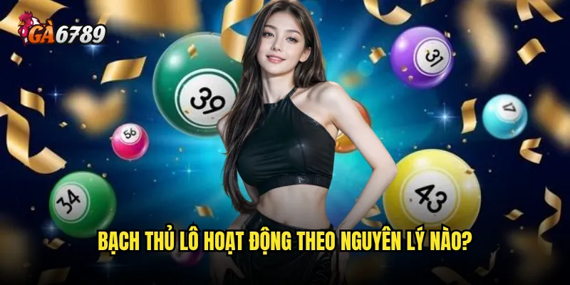 Bạch thủ lô Ga6789 có thực sự là bí quyết dành cho cao thủ? 2 Bạch thủ lô hoạt động theo nguyên lý nào?