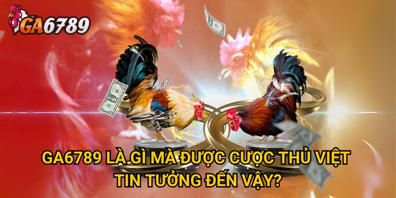 GA6789 là gì mà được cược thủ Việt tin tưởng đến vậy? 