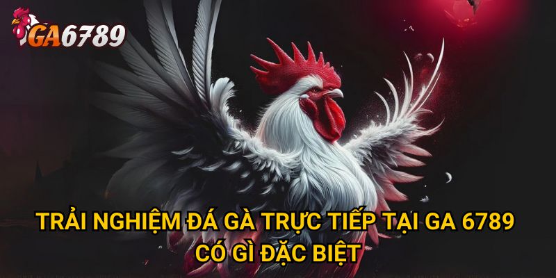 Trải nghiệm đá gà trực tiếp tại GA 6789 có gì đặc biệt? 